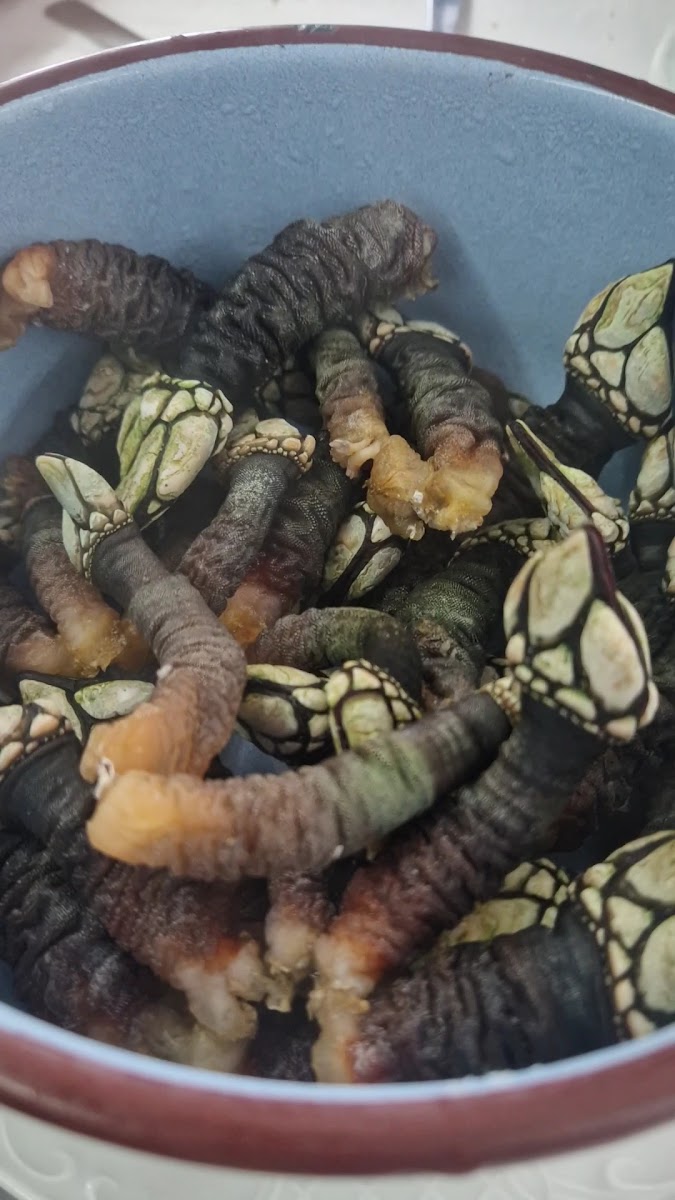 Restaurante O Burato-2